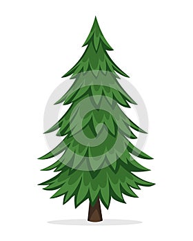 Cartoon Pine Tree photo