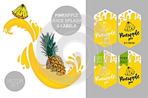 Cartoon pineapple cut with juice splashes. Organic fruit labels tags. Colorful tropical stickers.
