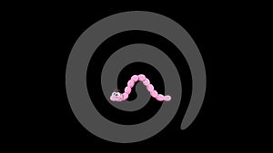 Cartoon Pink crawling worm