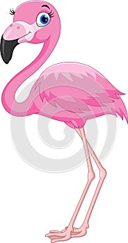 Cartoon pink flamingo bird. Funny and adorable