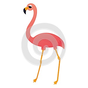 Cartoon pink flamingo character in childish style, zoo animal isolated on white background, design element for poster