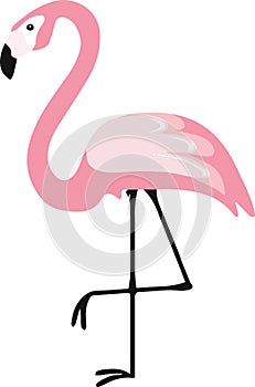 Cartoon pink flamingo on one leg stands. Vector illustration isolated on white background