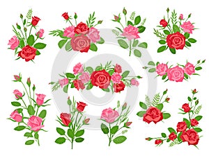 Cartoon pink and red rose floral bouquets with leaves and grass. Vintage romantic bouquet with flowers and buds. Roses