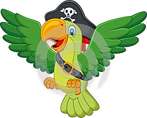 Cartoon pirate parrot