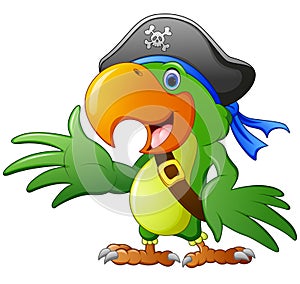 Cartoon pirate parrot