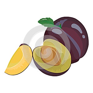 Cartoon plum. Fresh vitamin fruit. Juicy sliced fruit. Drawing for children. Illustration on white background.