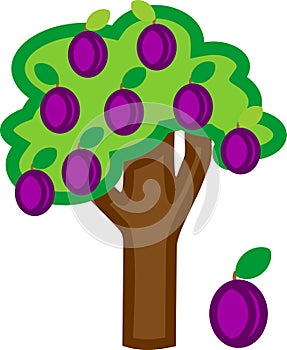 Cartoon plum tree with ripe plums and green crown