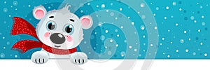 Cartoon Polar Bear, Christmas Background