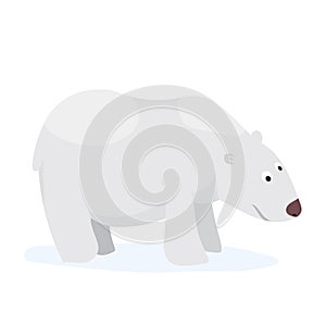 Cartoon polar bear. Flat vector illustration, isolated on white background. White bear on North Pole