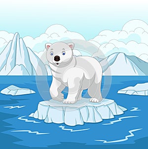 Cartoon polar bear isolated on ice floe