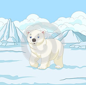 Cartoon polar bear in snowfield