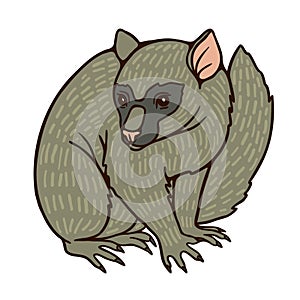 Cartoon possum flat color vector illustration on white