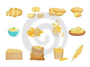 Cartoon potato product. Chips vegetable, food ingredients, bag box potatoes, vegan dishes slice, pancakes french fries