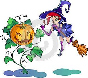 Cartoon pretty witch on broom holds a hand up to Jack the pumpkin. Witch and Halloween pumpkin.