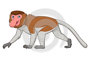 Cartoon Proboscis monkey on white background