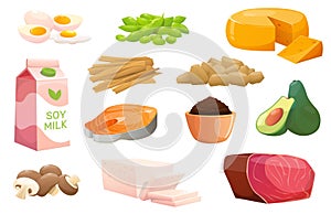 Cartoon protein sources. Vegetable products. Organic farm food. Soy sauce and miso. Fresh mushroom. Natural ingredients