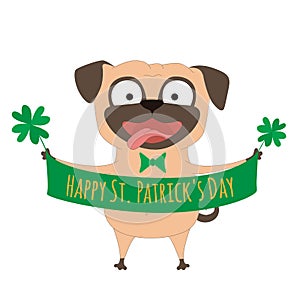 Cartoon Pug with clover. St. Patrick`s Day vector illustration.Postcard, poster, banner, print design