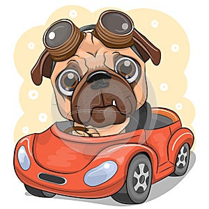 Cartoon Pug Dog boy in glasses goes on a Red car