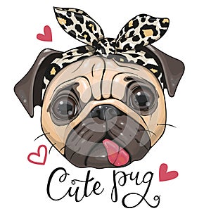 Cartoon Pug Dog in a leopard scarf