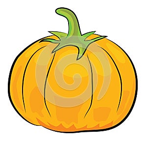 Cartoon pumpkin illustration