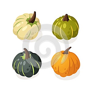 Cartoon Pumpkin Spice Season Image. Hand drawn stylish vegetable. Vector drawing fresh organic food. Summer illustration vegan