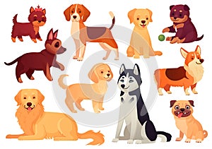 Cartoon puppy and dog. Happy puppies with smiling muzzle, loyal dogs and friendly dog isolated vector set