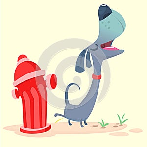 Cartoon Purebred Dachshund pee on hydrant. Vector illustration.