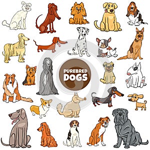 Cartoon purebred dog characters large set photo