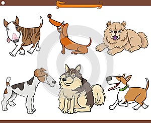 Cartoon purebred dogs animal characters set