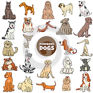 Cartoon purebred dogs characters large set