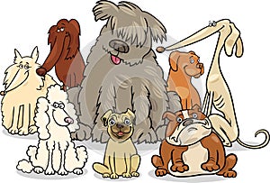 Cartoon purebred dogs group