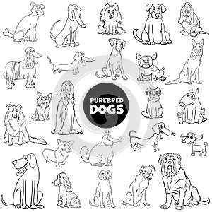 Cartoon purebred dogs large set color book page