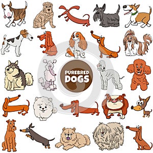 Cartoon purebred dogs and puppies characters big set