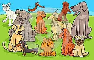 Cartoon purebred dogs and puppies characters group