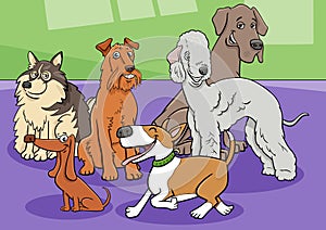 cartoon purebred dogs and puppies characters group