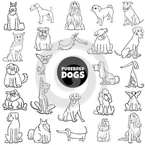 Cartoon purebred dogs set color book page