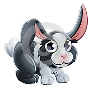 Cartoon Rabbit Animal Character