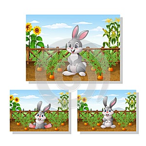 Cartoon rabbit with carrot plant in the garden collections set