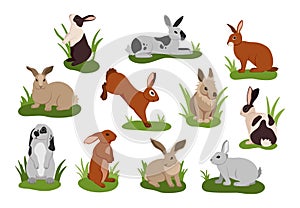 Cartoon rabbit. Cute bunnies with various fur colors. Isolated funny pets lying and jumping on grass. Adorable wild hares set.