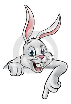 Cartoon Rabbit or Easter Bunny