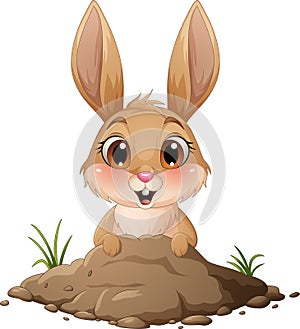 Cartoon rabbit emerged from the hole