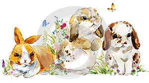 Cartoon rabbit. forest animal illustration. cute watercolor hare. Little rabbit in the garden