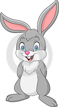 Cartoon rabbit isolated on white background