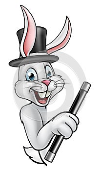 Cartoon Rabbit Magician Pointing