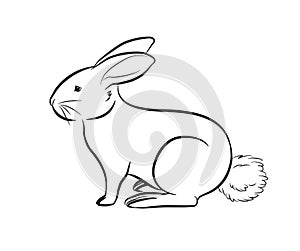 Cartoon Rabbit Outlining Vector Illustration