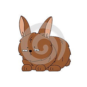 Cartoon rabbit is unhappy, eyes narrowed, looks with contempt, does not like something, lies on the floor. Animal is on white