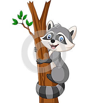 Cartoon Raccoon climbing on the tree