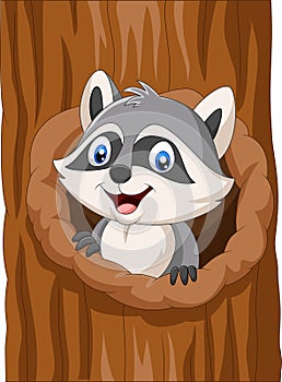 Cartoon raccoon sitting in hollow of a tree