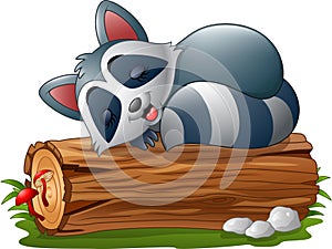 Cartoon raccoon sleeping on the tree log