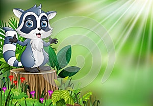 Cartoon of a raccoon standing on tree stump with green leaves and flowering plant